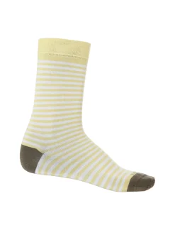Merino Lifestyle Feinstricksocken Crew Stripe Herren^Icebreaker Hot